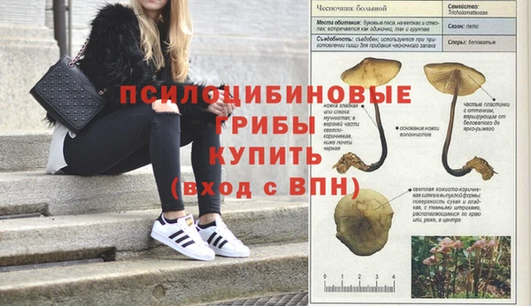 кокаин Бородино