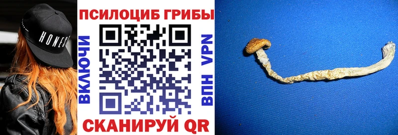Купить  Углич  Псилоцибиновые грибы мицелий 