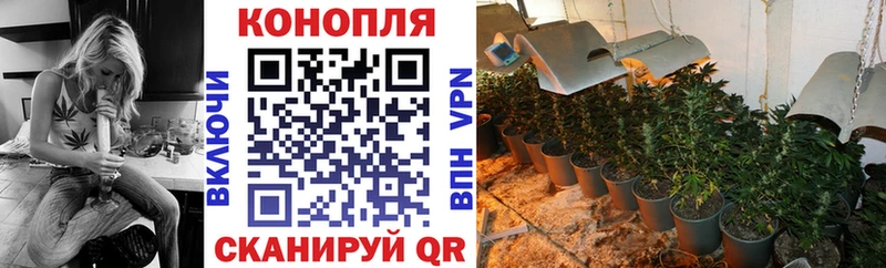 Шишки марихуана Ganja  Купить где  Углич 